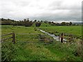 Drain below Panborough