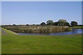 Square pond, Montrose Links