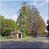 TL4055 : Barton: bus shelter and tall trees by John Sutton
