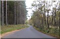 NO6898 : Minor road through Brathens Wood by Stanley Howe