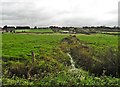 Rhyne on Westhay Moor