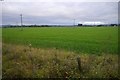 Grass field, Carse of Gowrie