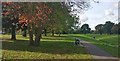 Path through Braunstone Park