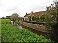 River Sheppey at Upper Godney