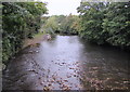 Upstream along the Ebbw River, Newport