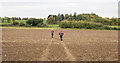 Walkers following path over earthen field