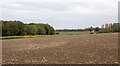 Field with fine tilth