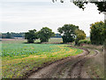 TL7849 : Footpath following farm track at field edge by Trevor Littlewood