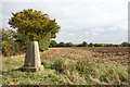 TL7848 : Trig point of King's Wood by Trevor Littlewood