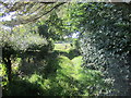 Public Footpath near Hanns Hall Farm