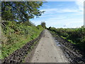 Along the lane below Y Foel