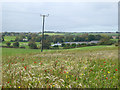 View towards Wingleton Farm