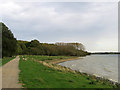 SK9007 : Rutland Water: sheep by the shore by John Sutton