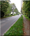 SU1768 : West along Bath Road between Marlborough and Manton by Jaggery