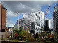 City redevelopment in Birmingham