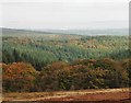 View towards Hinkley Point