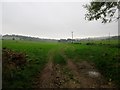 Overhead power lines to Middle Barn Farm