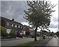 Bus shelter on A53, Leek New Road, Baddeley Green