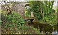 Disused Railway Bridge over the Avoch Burn