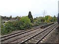 View from a Didcot-Worcester train - Bridge at Hinksey Stream