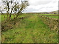 Enclosed footpath between Peter Laithe and Buttock Laithe Farms