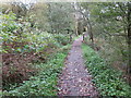 Path and Footbridge beside Colne Water near Laneshaw Bridge