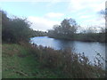 River Tees near Aislaby