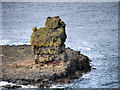 C9545 : Rock Stack on Sea Gull Island by David Dixon