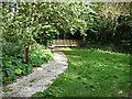 Path into Dingle Wood from Front Street, Sandbach 