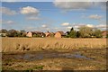 Thatcham Reed Beds