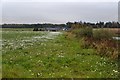 Field at Windyedge Cottages