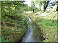 Arclid Brook below the Sandbach bypass