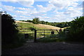 Gate to Oaks Wood