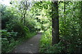 Footpath, Naphill Common