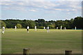 Cricket on Downley Common