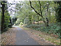 Pathway between Mousehold Avenue and Gilman Road