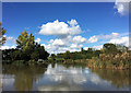 Laneside Pool Melverley Farm Fishery