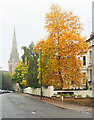 A Wet Morning in Church Road