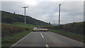 Sheep on the Road near Talgarth Manor