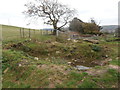 "Tank-trap" and gate across Bowls Lane, on Eglwysilan Common