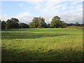 Grassland at South Rauceby