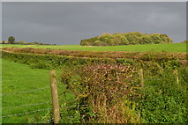 SU3526 : Stormy sky, near Manor Farm by David Martin