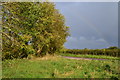 Rainbow over Hill View Road