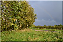 SU3325 : Rainbow over Hill View Road by David Martin