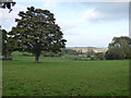 Footpath to Calverley Road