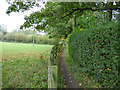 Footpath to Calverley Road, fenced section