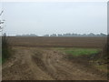 Field towards Long Plantation