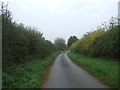 Lane towards South Creake