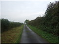 Lane towards White Hall