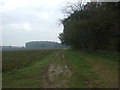 TF7931 : Farm track beside woodland by JThomas